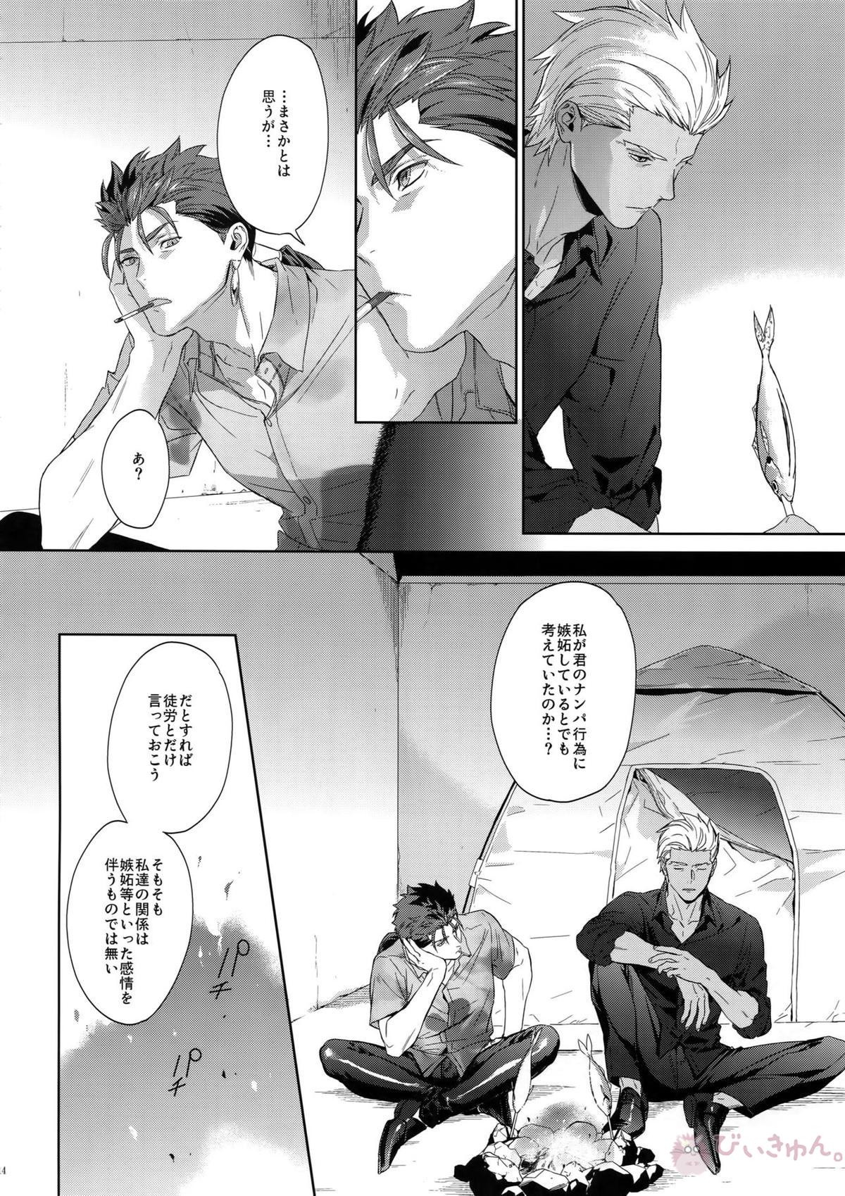 星降る夜の【Fateシリーズ/弓槍】 page 13