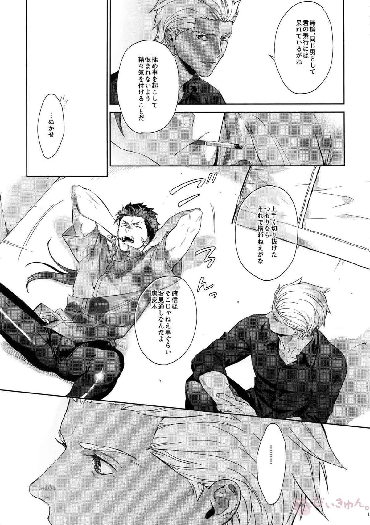 星降る夜の【Fateシリーズ/弓槍】 page 14