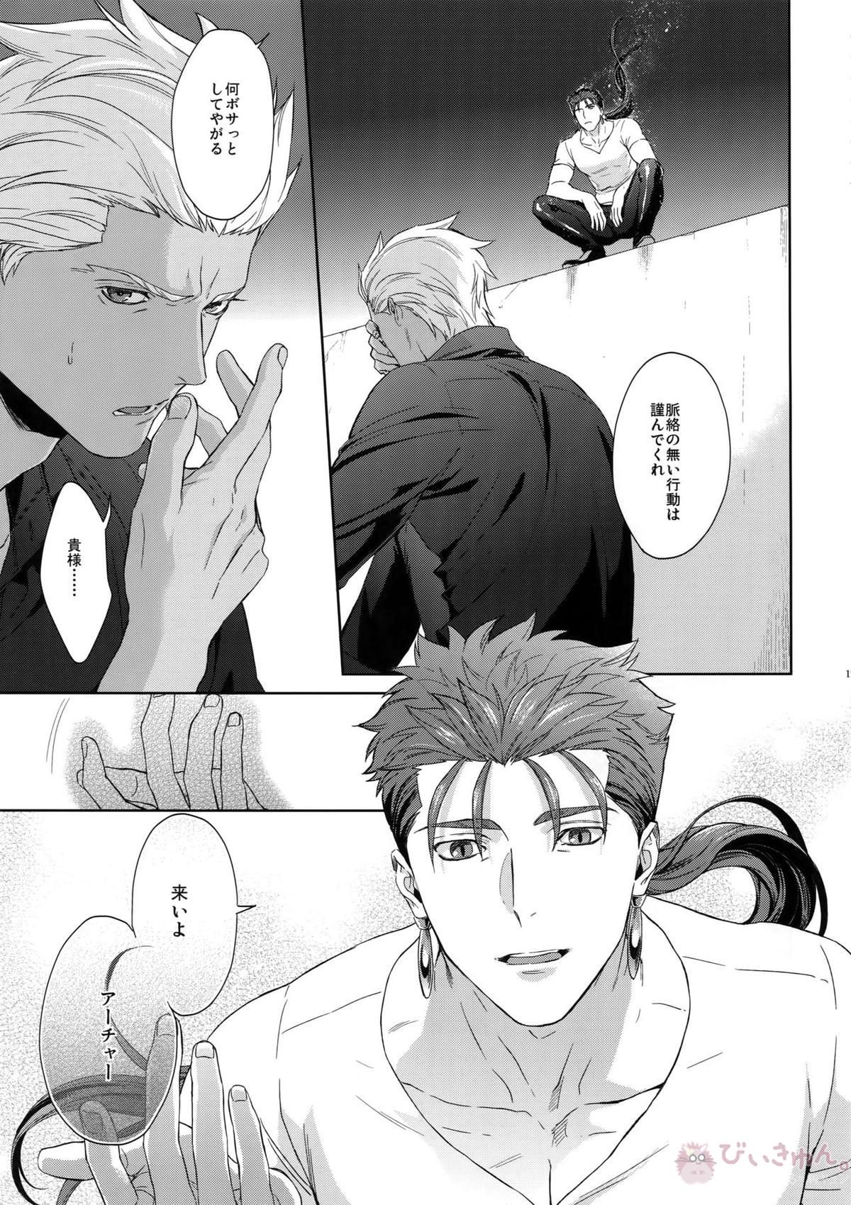星降る夜の【Fateシリーズ/弓槍】 page 16