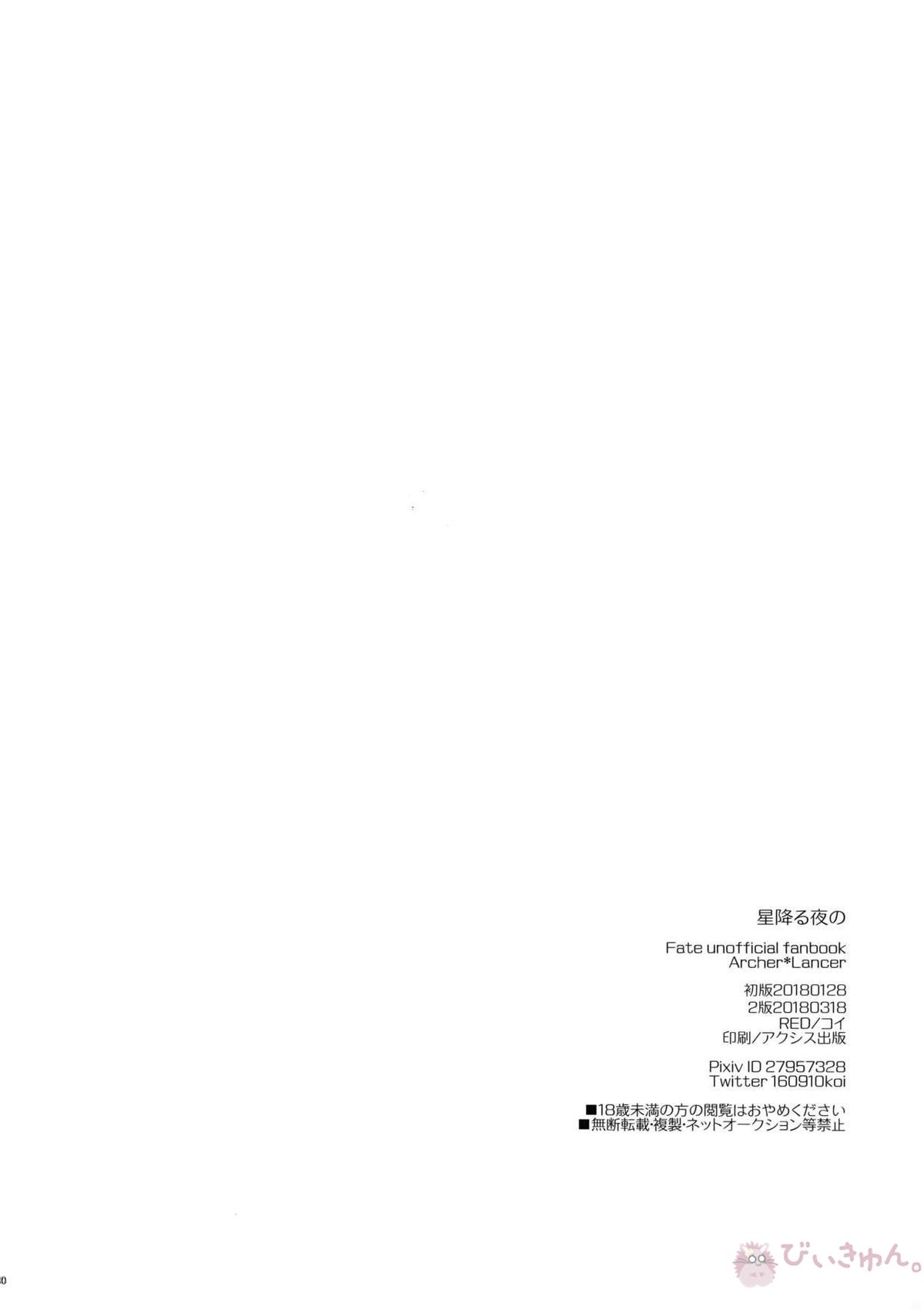 星降る夜の【Fateシリーズ/弓槍】 page 29