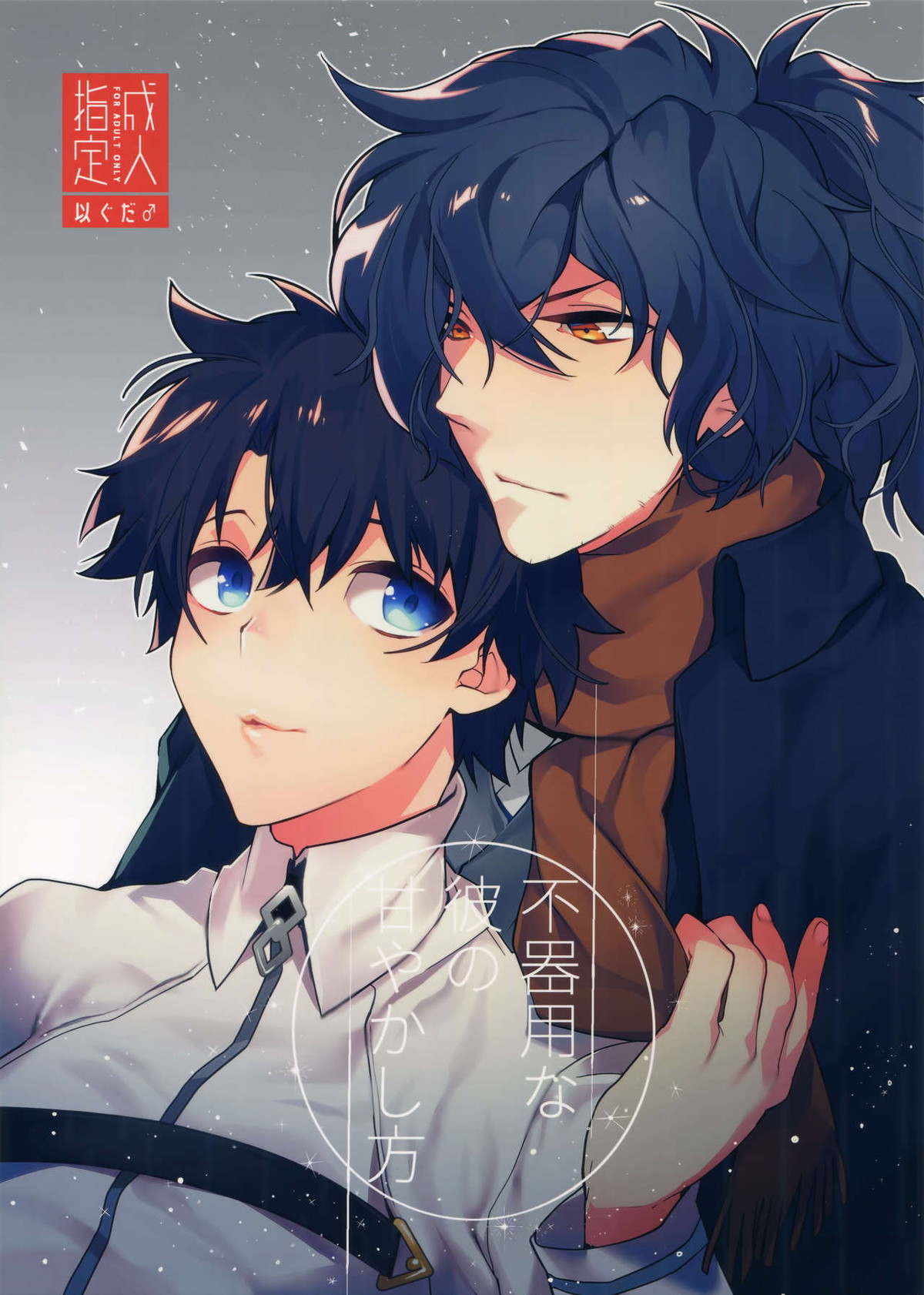 BL manga "不器用な彼の甘やかし方【Fateシリーズ/岡田以蔵×ぐだ男】" cover image