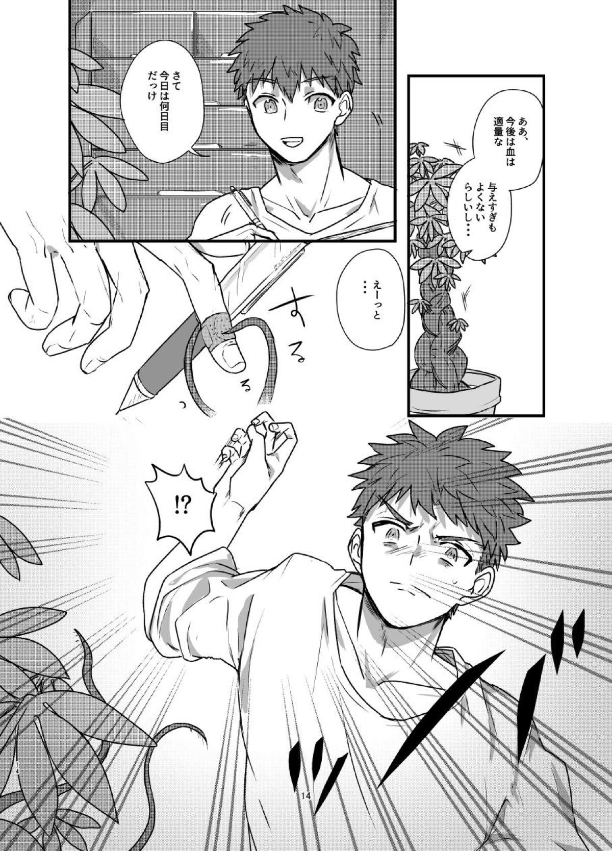あ〜！士郎くん危な〜い【Fateシリーズ/触手×士郎】 page 11