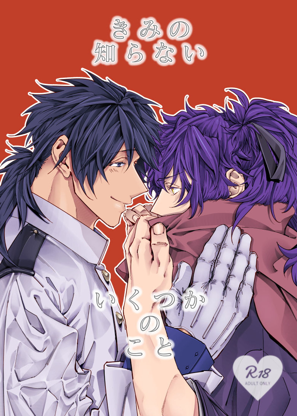 BL manga "きみの知らない いくつかのこと【Fateシリーズ/帝都騎殺】" cover image