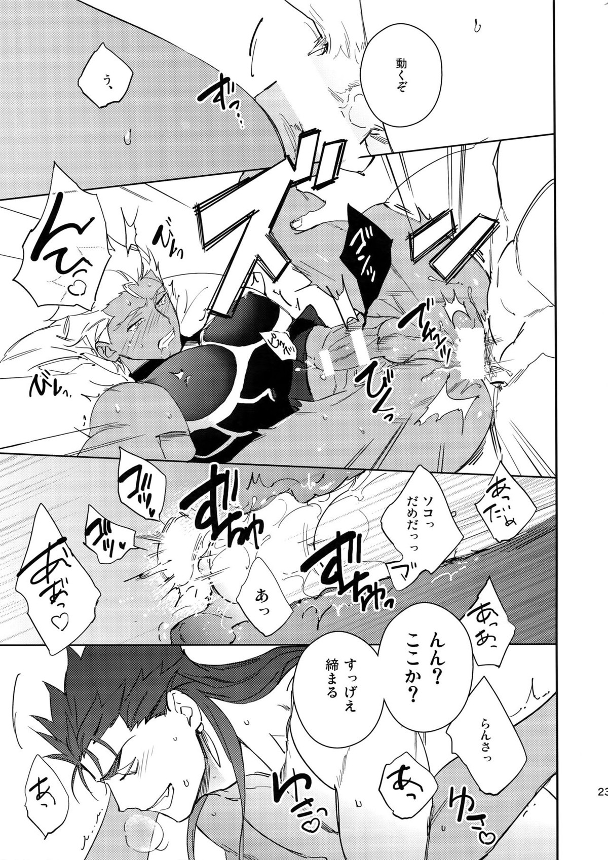 愛の妙薬【Fateシリーズ/槍弓】 page 22