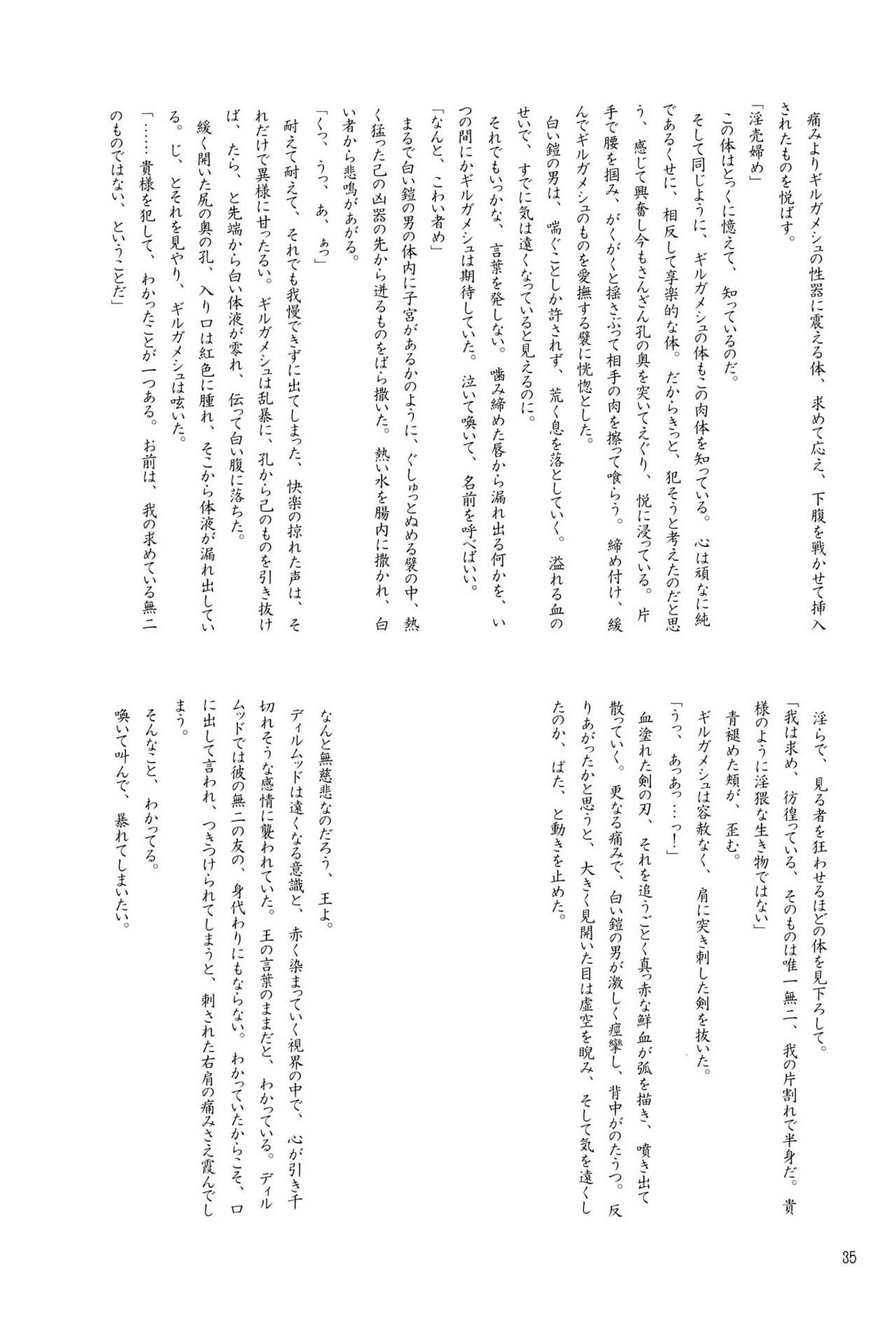 Enigma【Fateシリーズ/ギルディル】 page 35