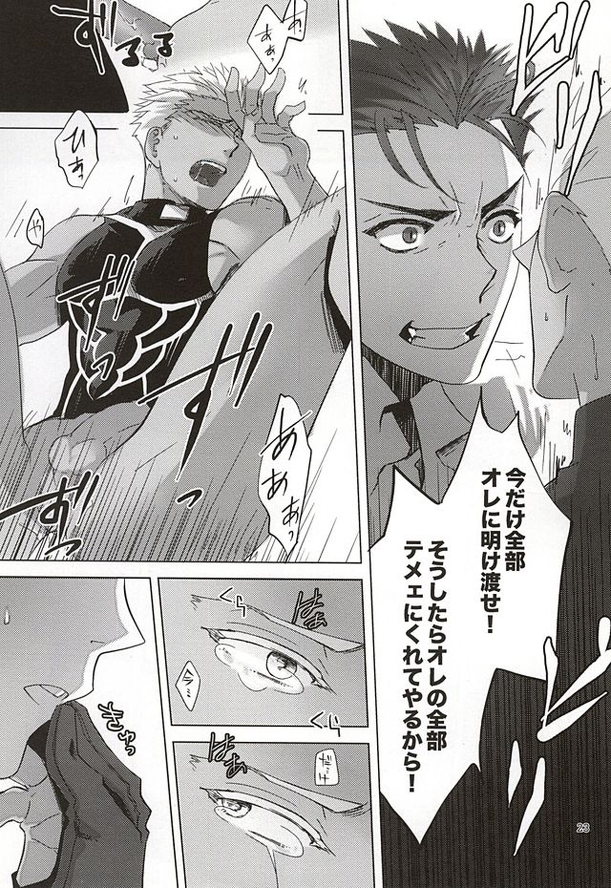 反転するプラトニック【Fateシリーズ/槍弓】 page 20