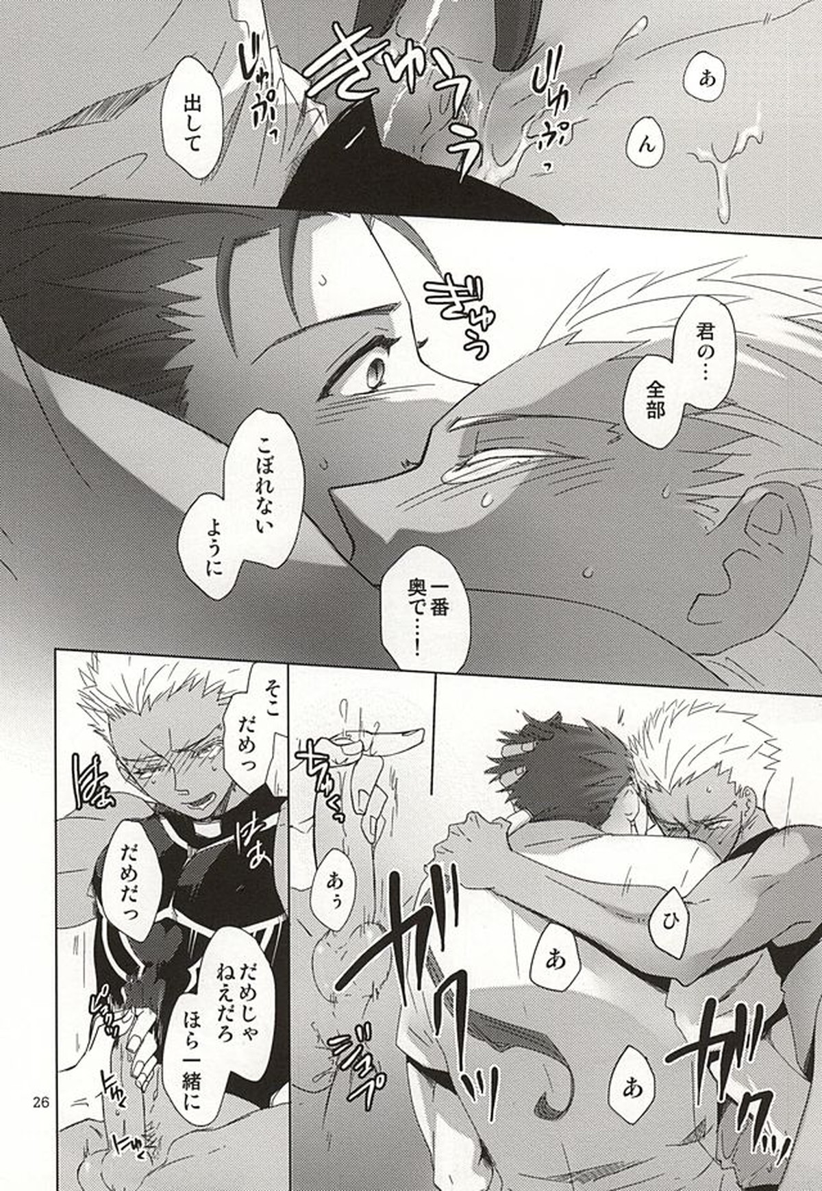 反転するプラトニック【Fateシリーズ/槍弓】 page 23
