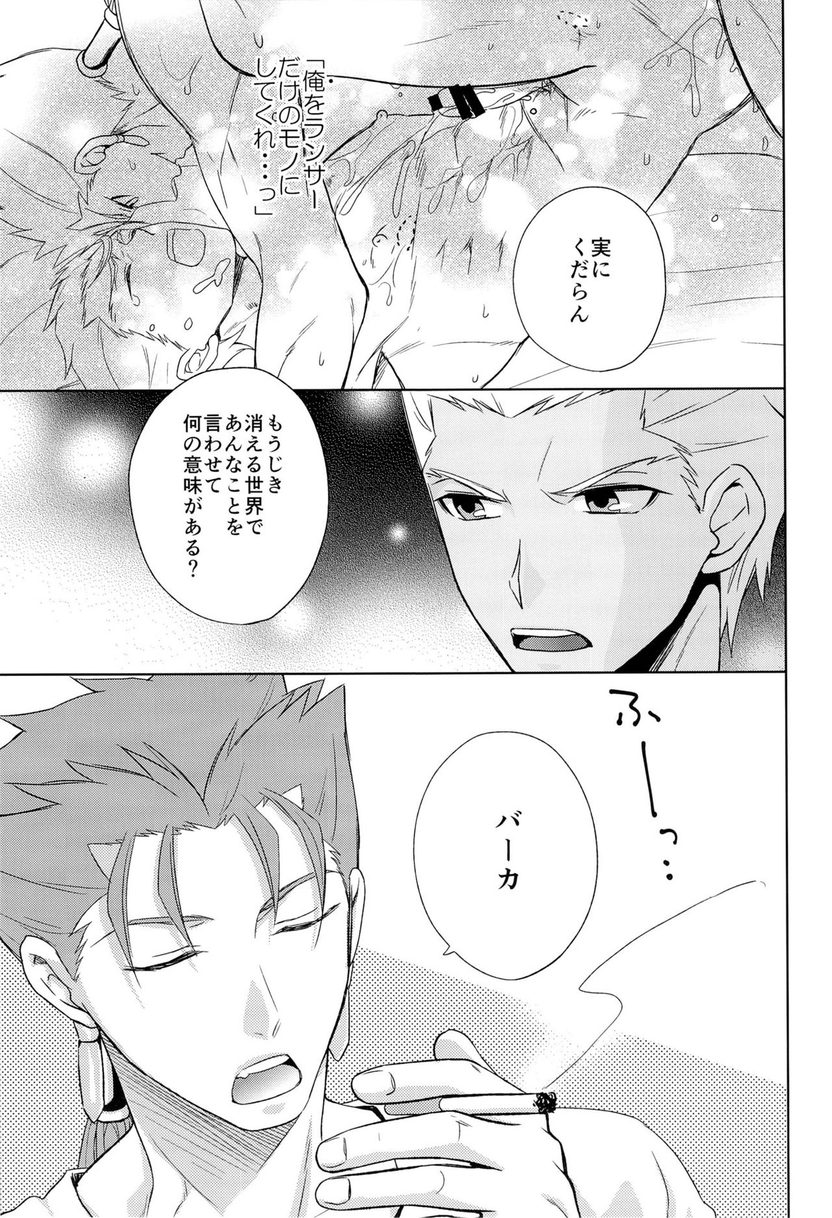 アーチャーは俺の嫁【Fateシリーズ/槍弓】 page 17
