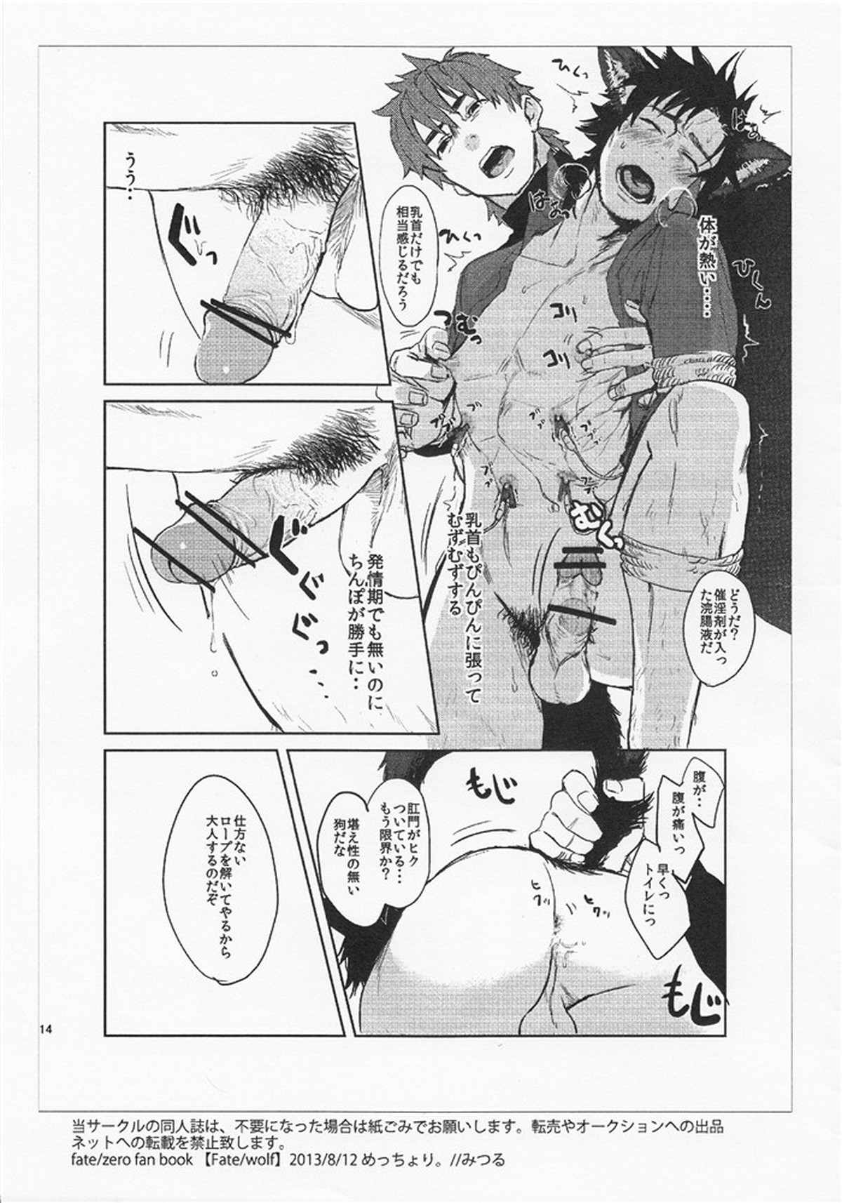 Fate Wolf【Fateシリーズ/言切】 page 13