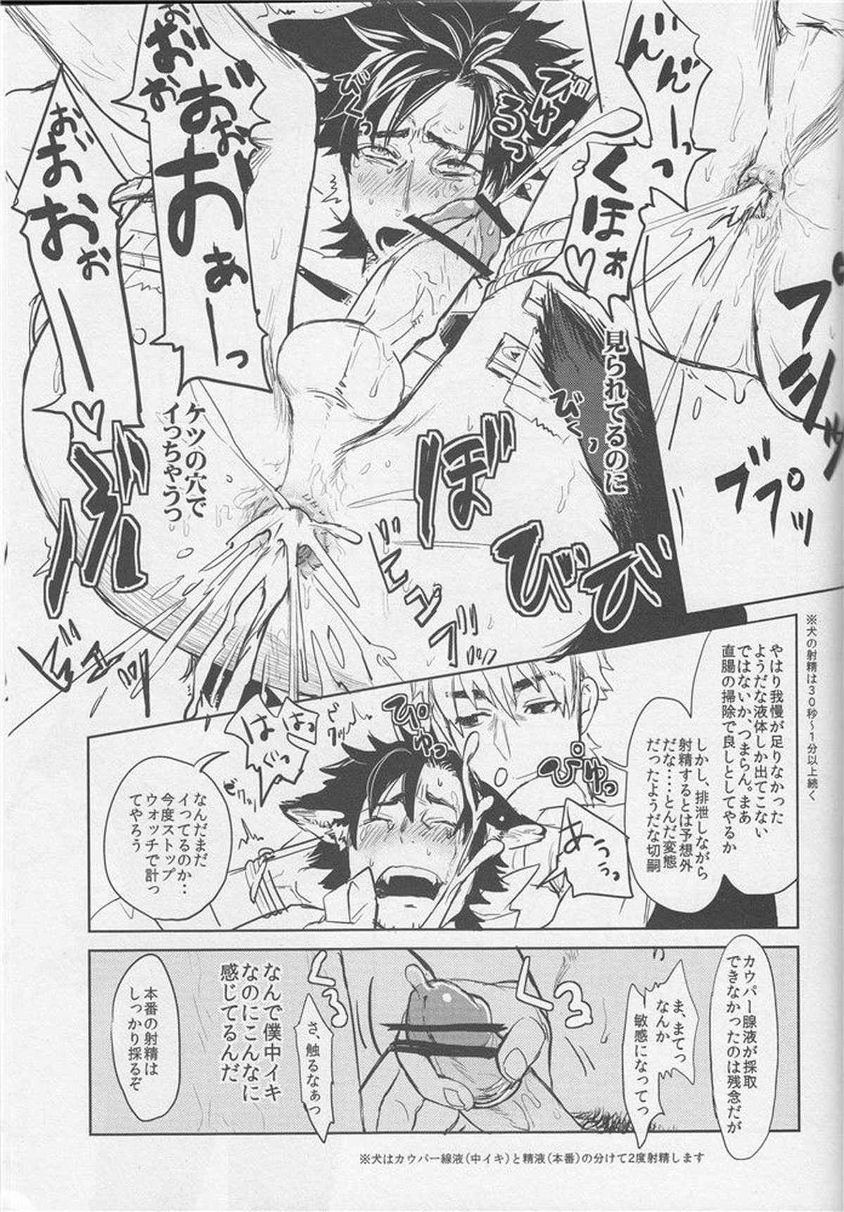 Fate Wolf【Fateシリーズ/言切】 page 16