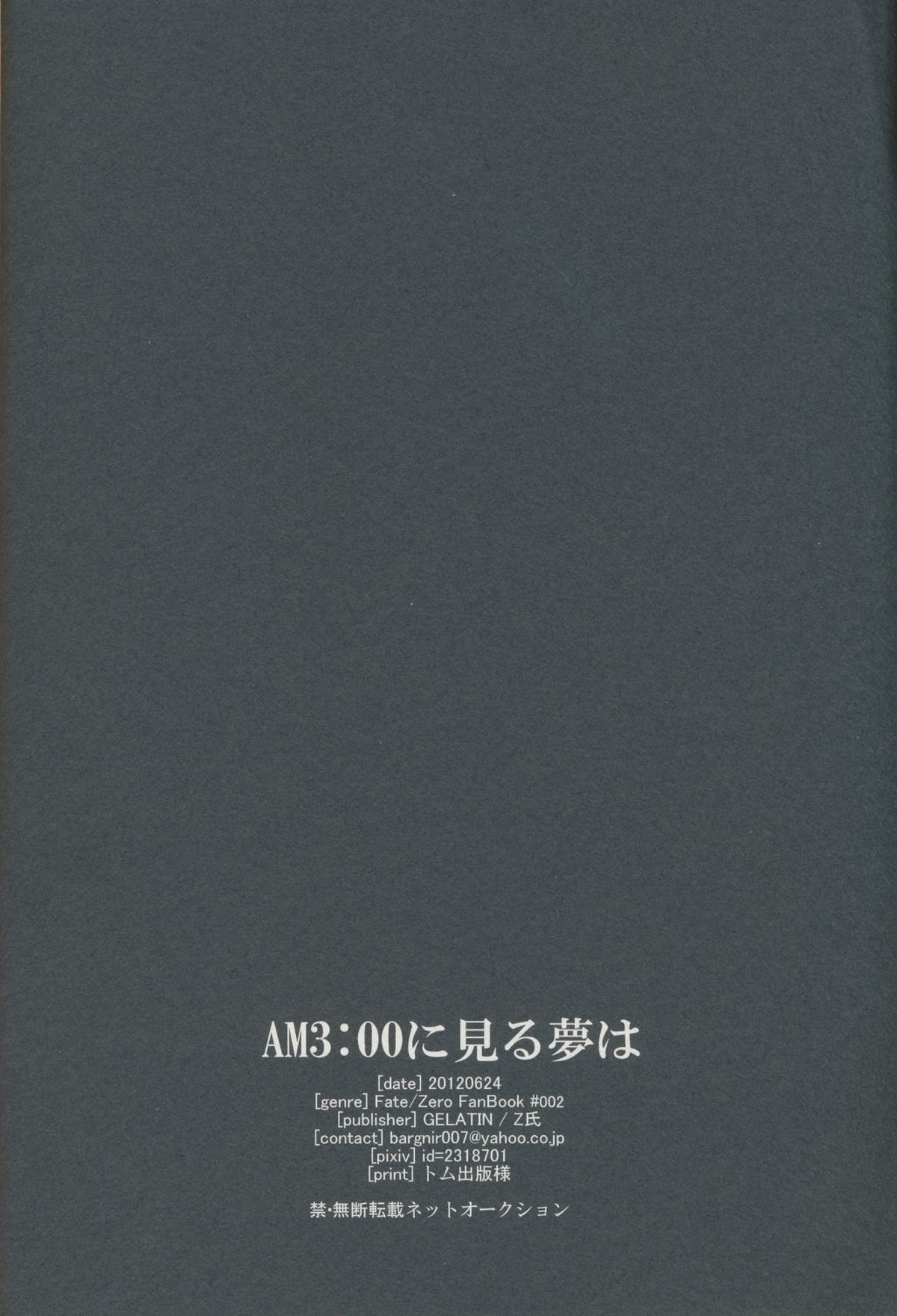 AM300に見る夢は【Fateシリーズ/キャスギル×切嗣】 page 30