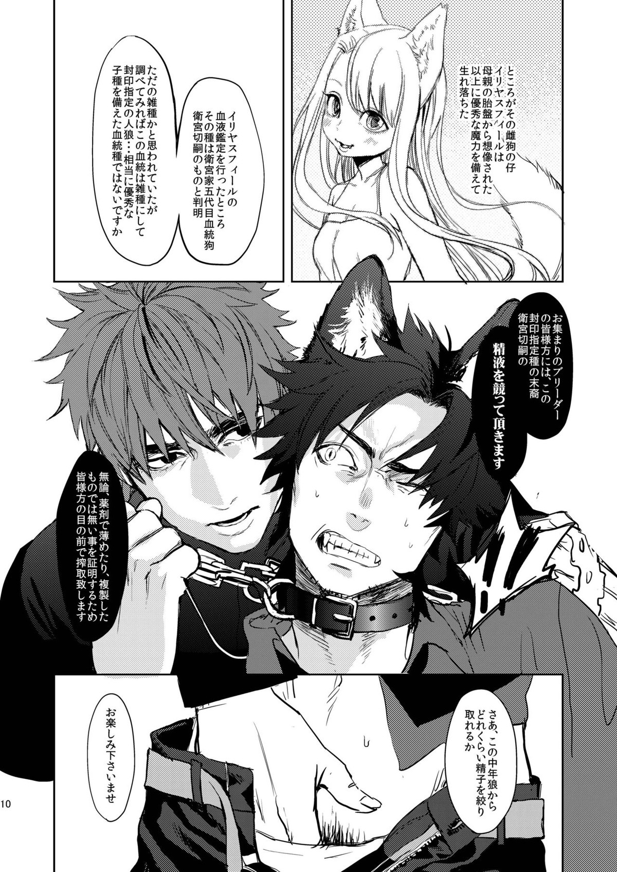 FateWolf【Fateシリーズ/言切】 page 11