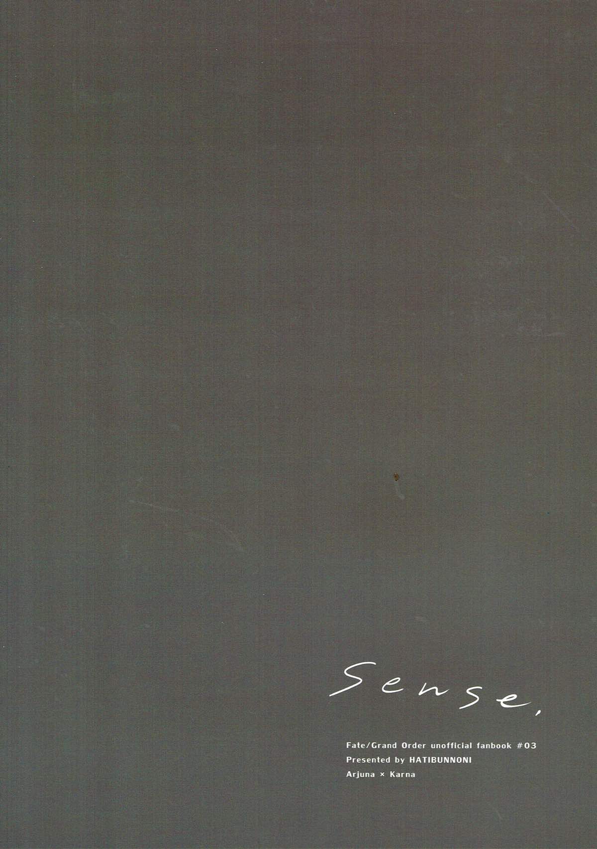 sense【Fateシリーズ/ジュナカル】 page 30