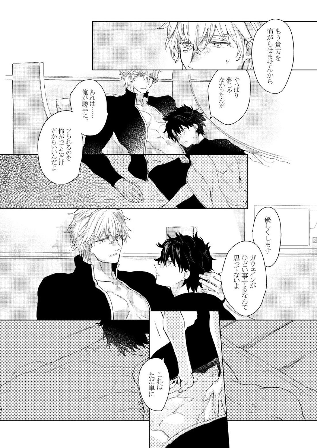 貴方を追って【Fateシリーズ/ガウェぐだ♂】 page 15