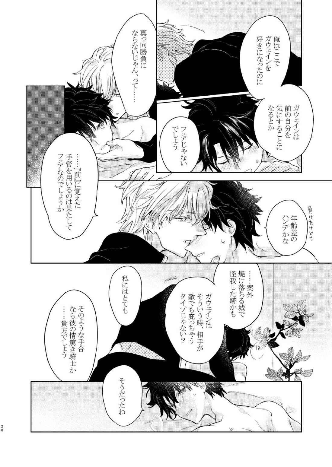 貴方を追って【Fateシリーズ/ガウェぐだ♂】 page 27