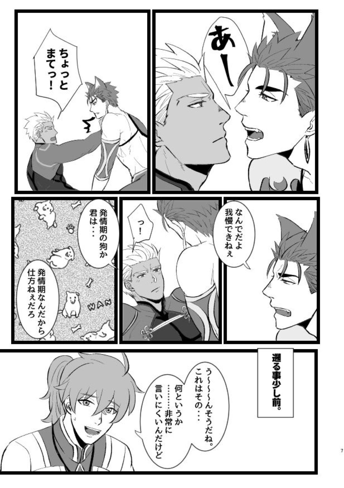 はちゃめちゃワンだふるでー【Fateシリーズ/槍弓】 page 11