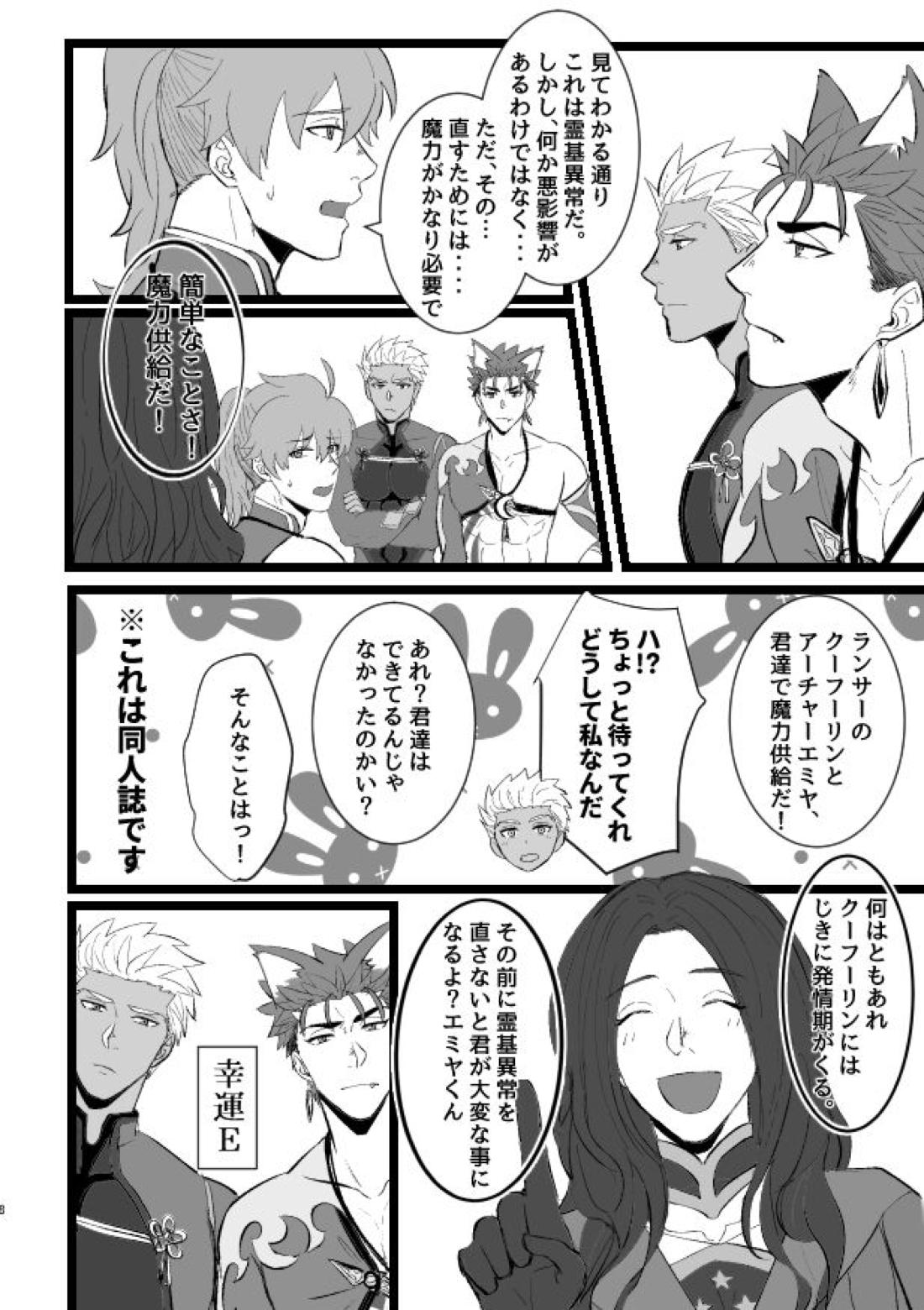 はちゃめちゃワンだふるでー【Fateシリーズ/槍弓】 page 12