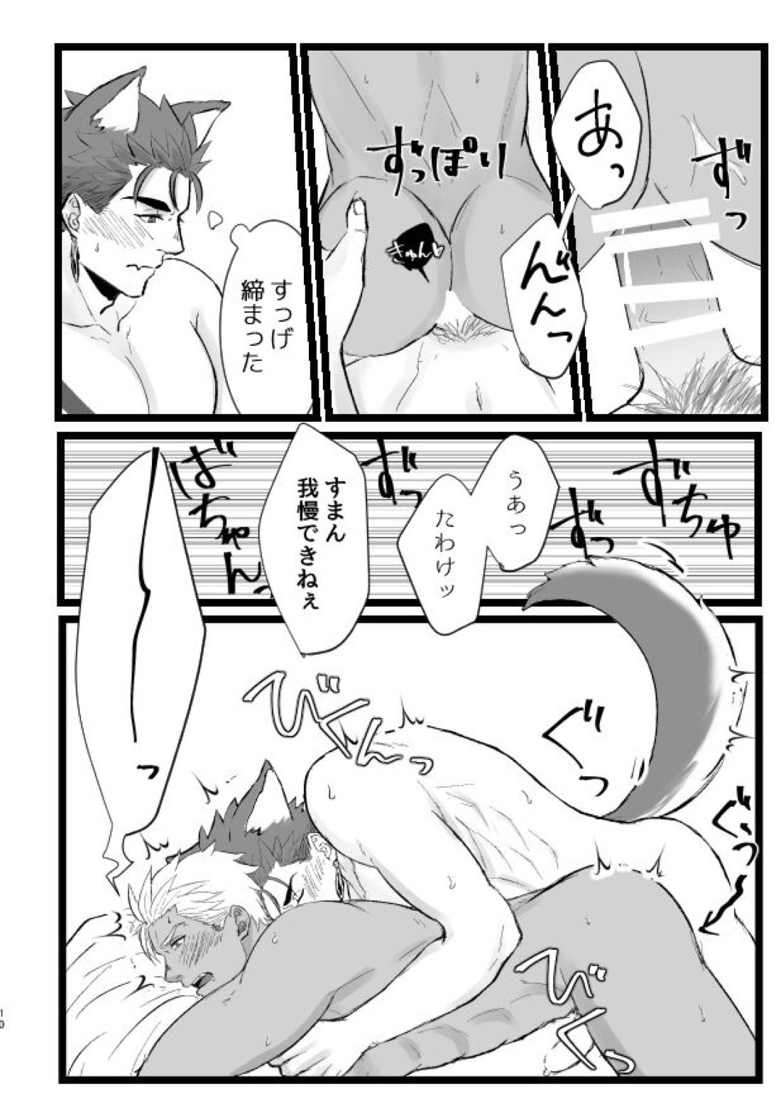 はちゃめちゃワンだふるでー【Fateシリーズ/槍弓】 page 14