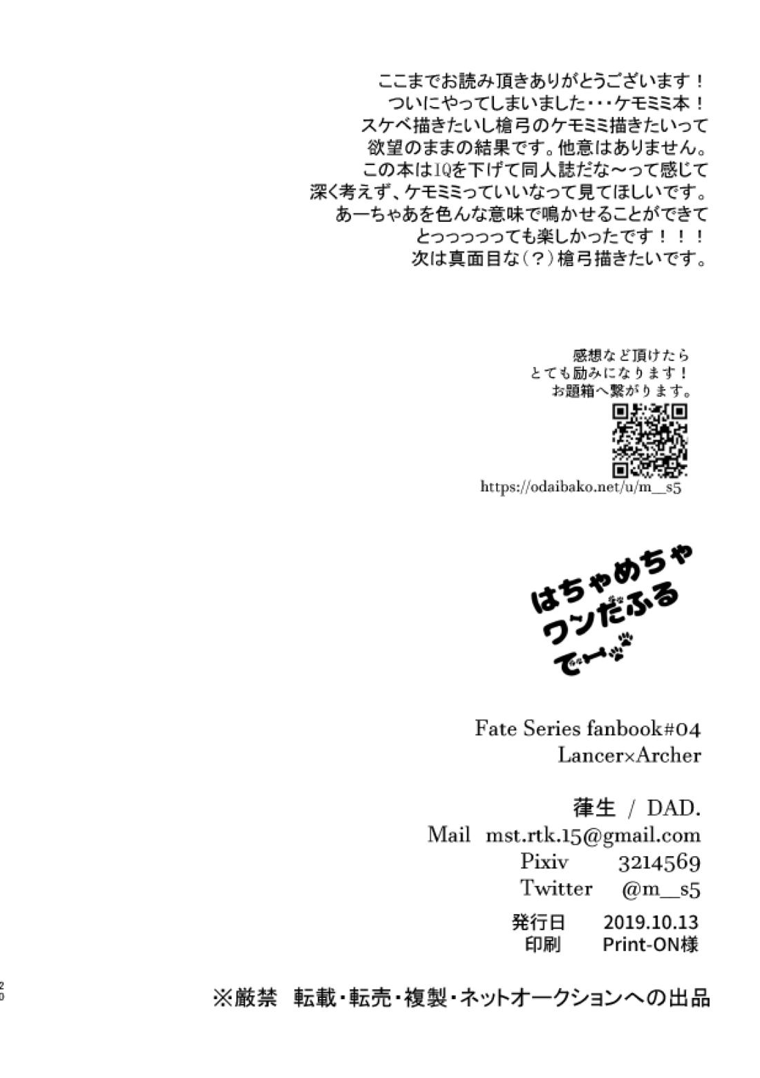 はちゃめちゃワンだふるでー【Fateシリーズ/槍弓】 page 24