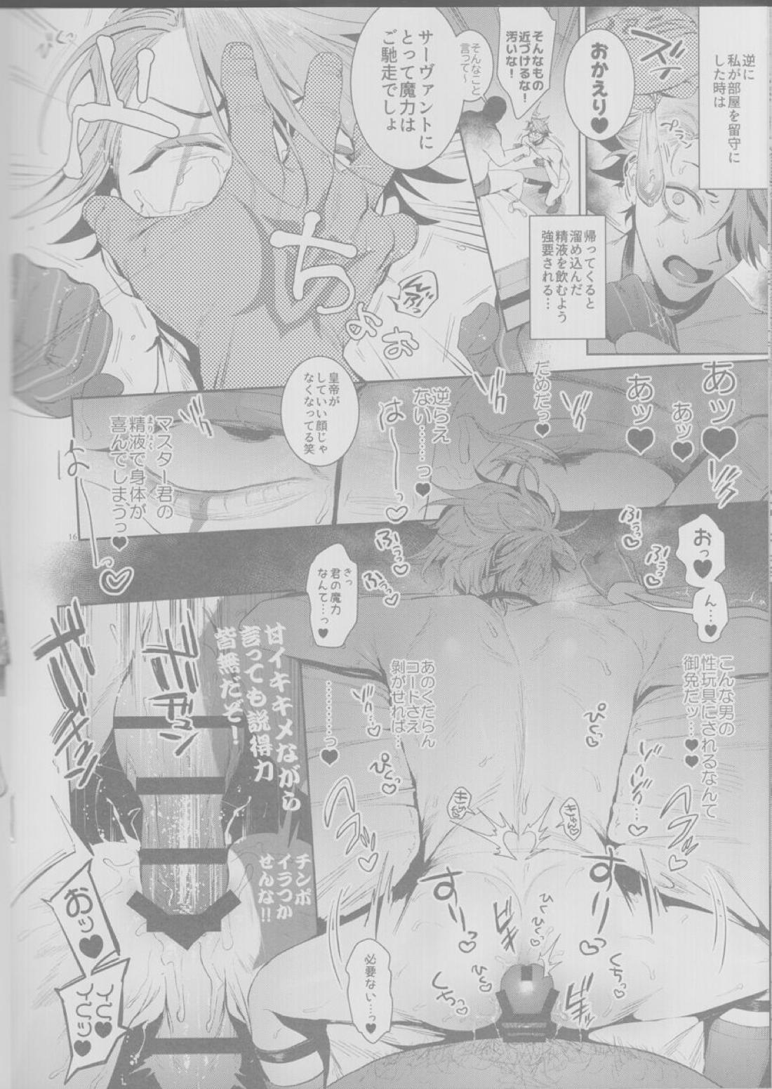 皇帝、犬に堕つ。【Fateシリーズ/弓槍】 page 15