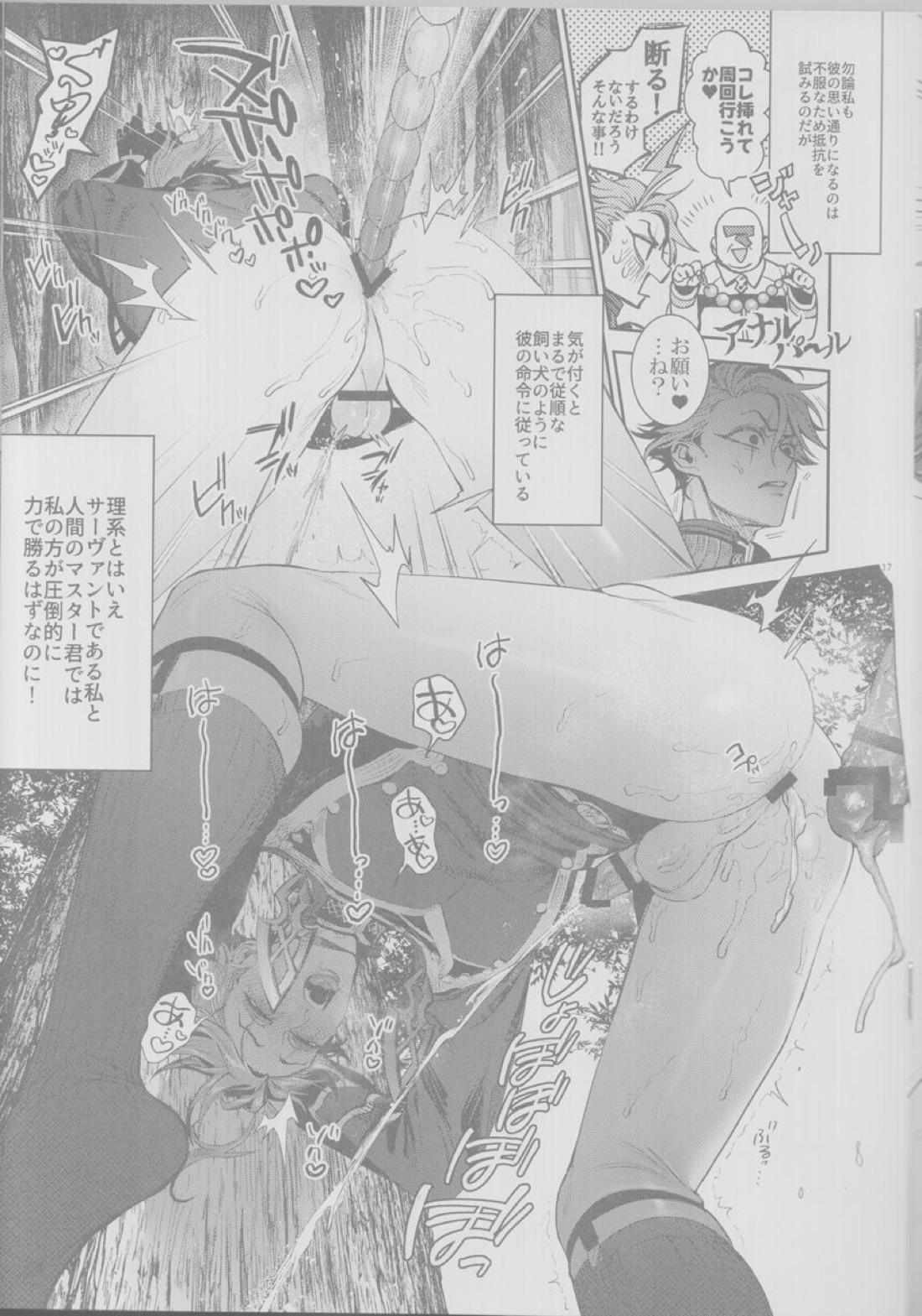 皇帝、犬に堕つ。【Fateシリーズ/弓槍】 page 16