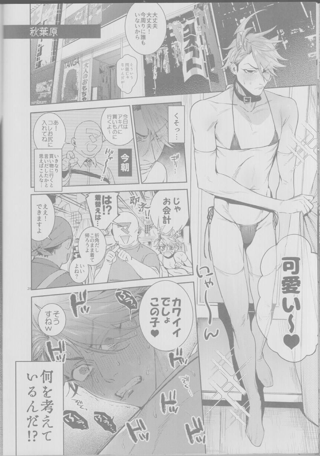 皇帝、犬に堕つ。【Fateシリーズ/弓槍】 page 19