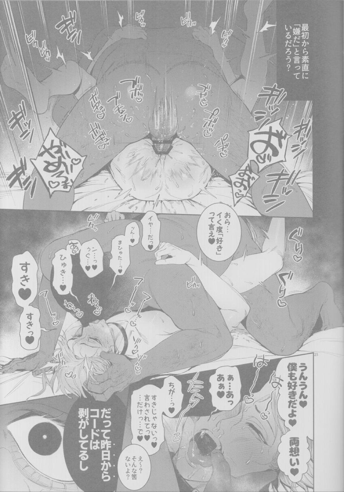 皇帝、犬に堕つ。【Fateシリーズ/弓槍】 page 24