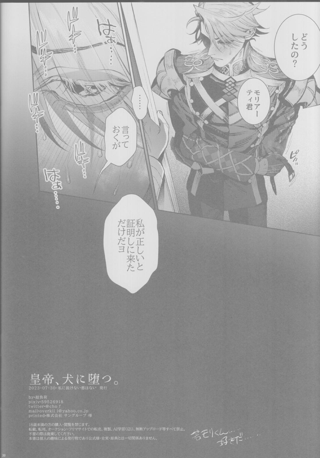 皇帝、犬に堕つ。【Fateシリーズ/弓槍】 page 29