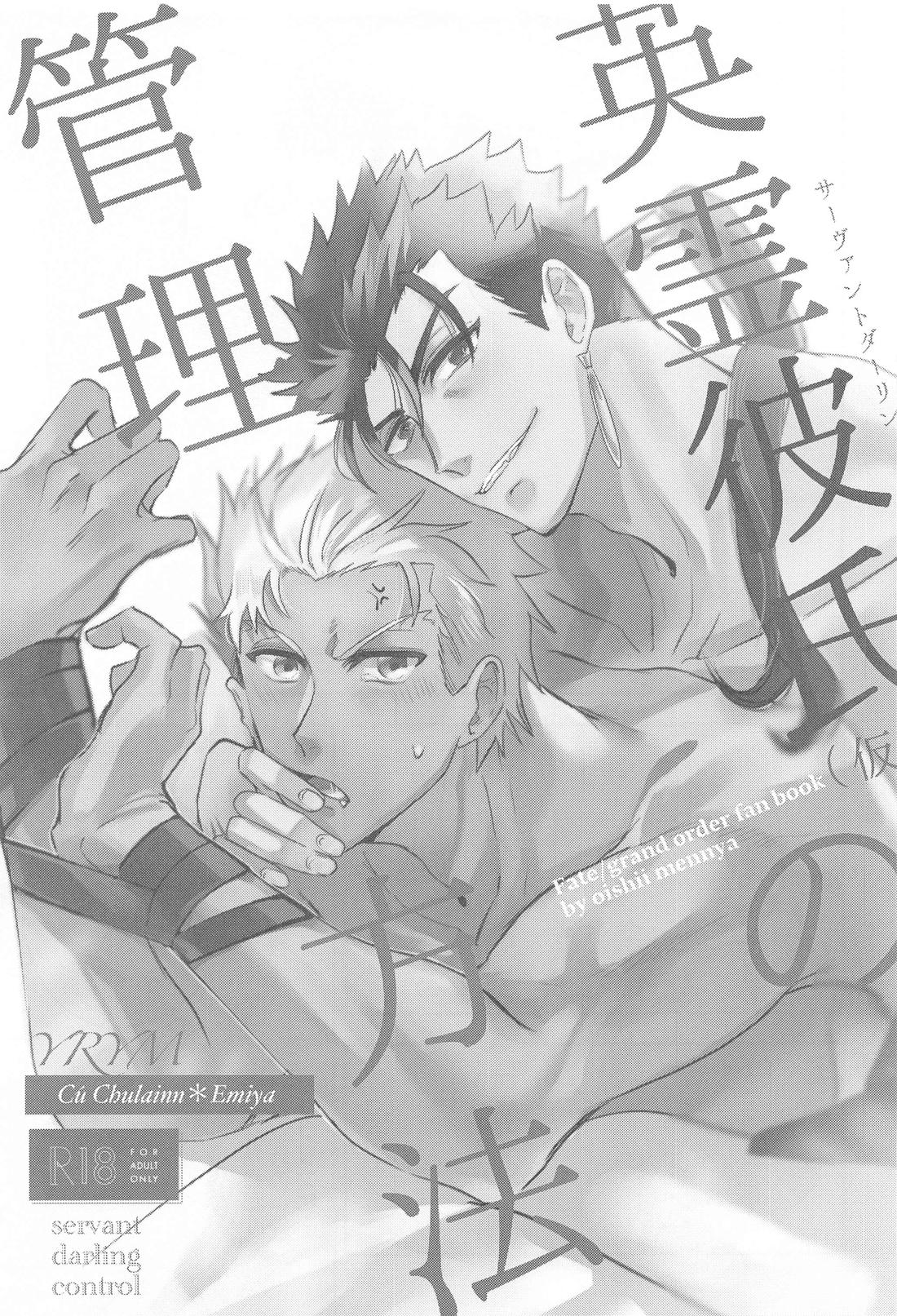 英霊彼氏の管理方法【Fateシリーズ/槍弓】 page 13