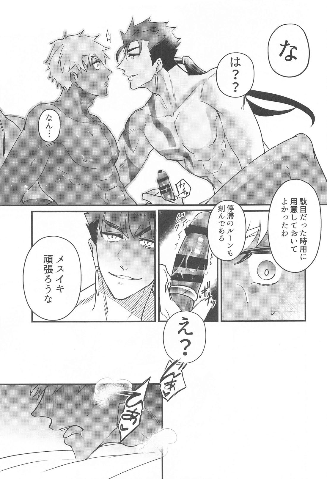 英霊彼氏の管理方法【Fateシリーズ/槍弓】 page 19