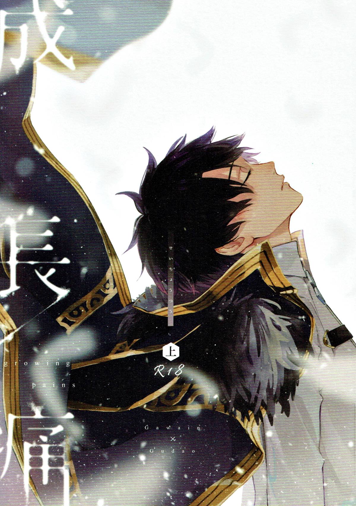 BL manga "成長痛 上【Fateシリーズ/ガヴェぐだ♂】" cover image