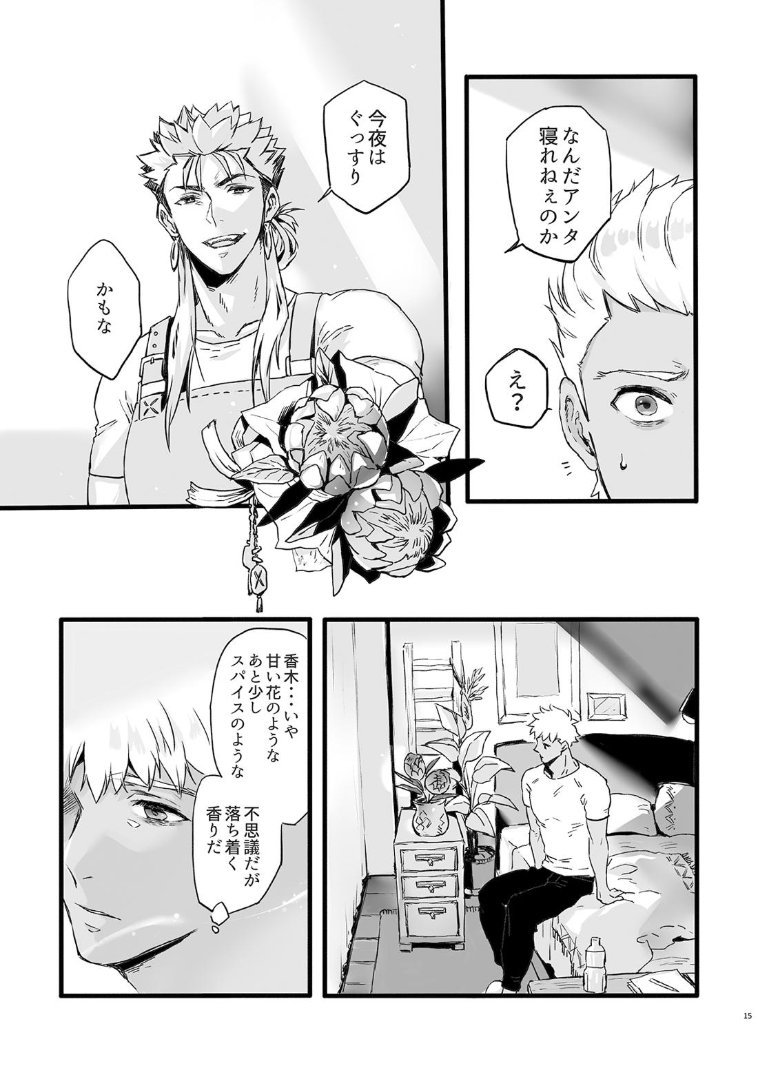 JULY EMPTY BOTTLE Vol.2【Fateシリーズ/槍弓】 page 16