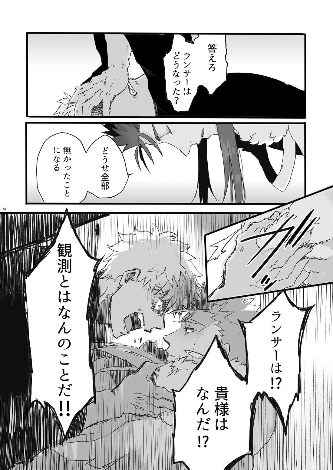 JULY EMPTY BOTTLE Vol.2【Fateシリーズ/槍弓】 page 35