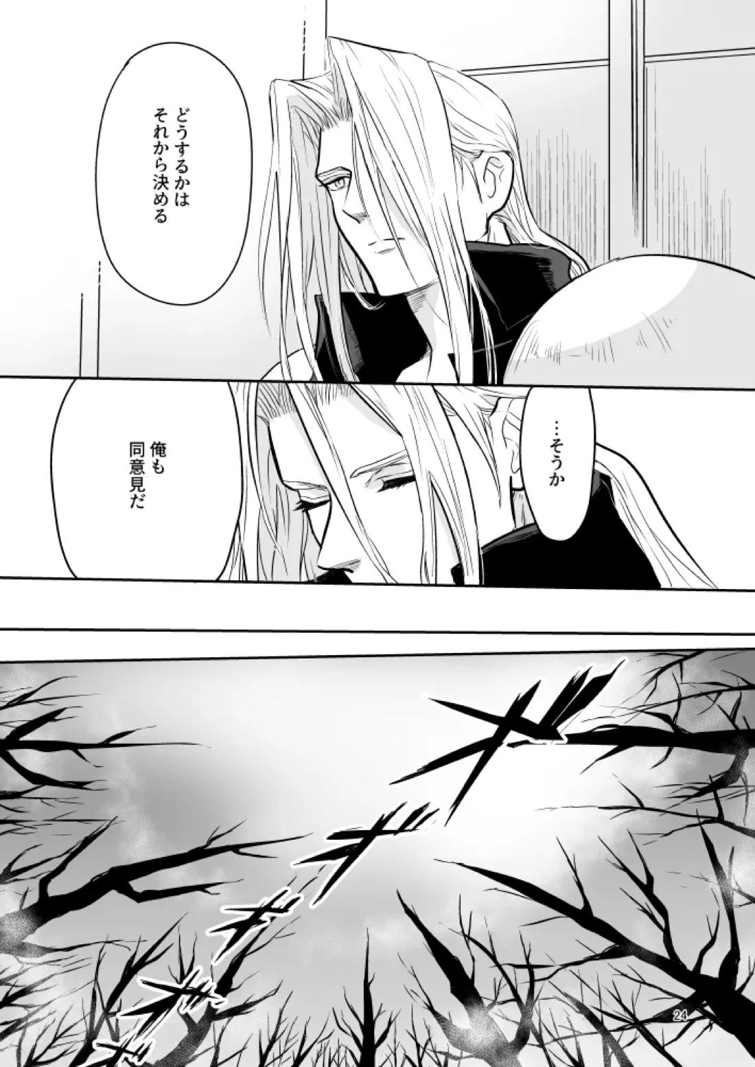 想い出の箱【ファイナルファンタジー7/セフィクラ】 page 22