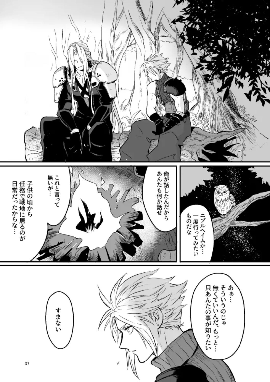 想い出の箱【ファイナルファンタジー7/セフィクラ】 page 35