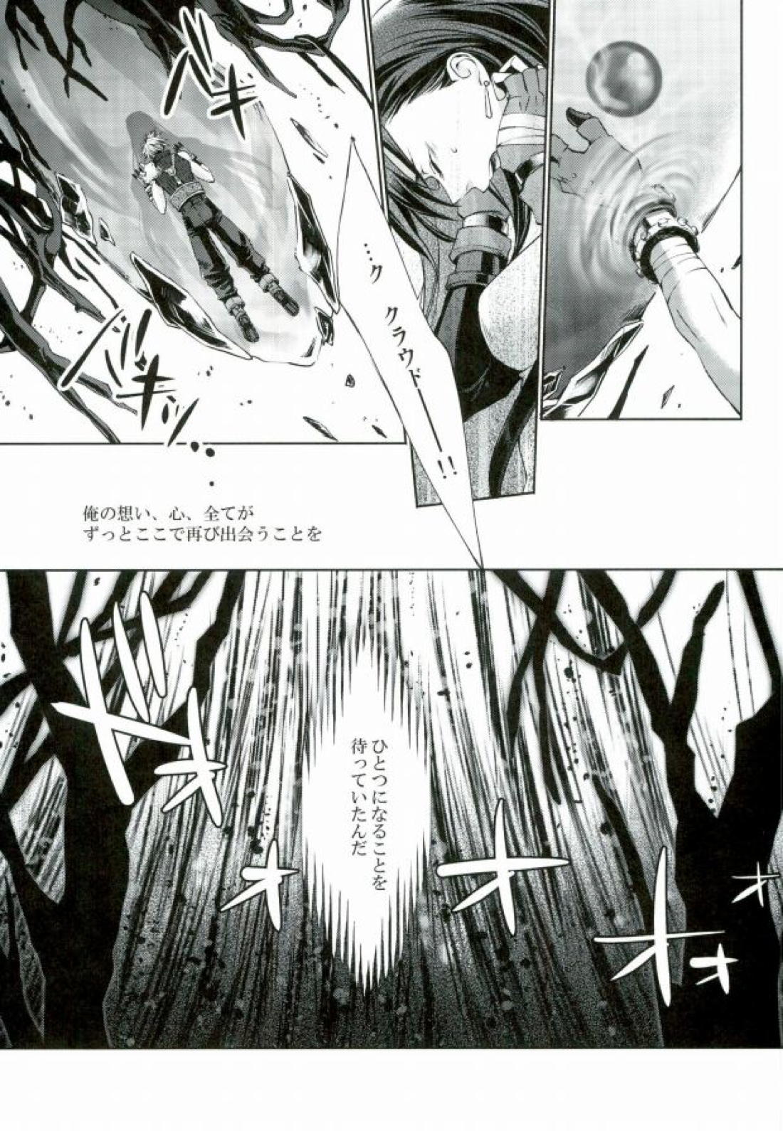 instinct reunion【ファイナルファンタジー7/セフィクラ】 page 14