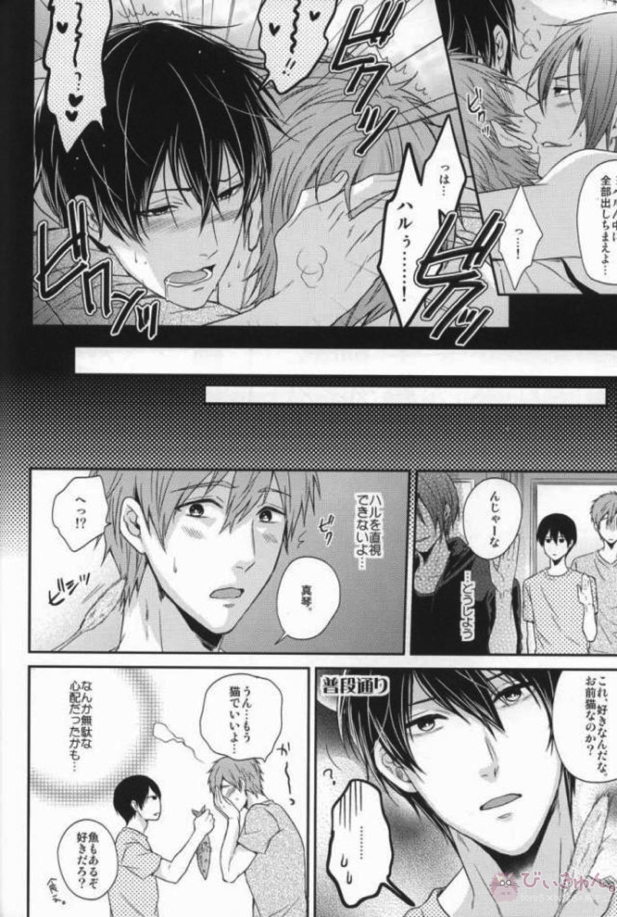 逆にねこにされちゃいました。【Free!/まこはる】 page 18