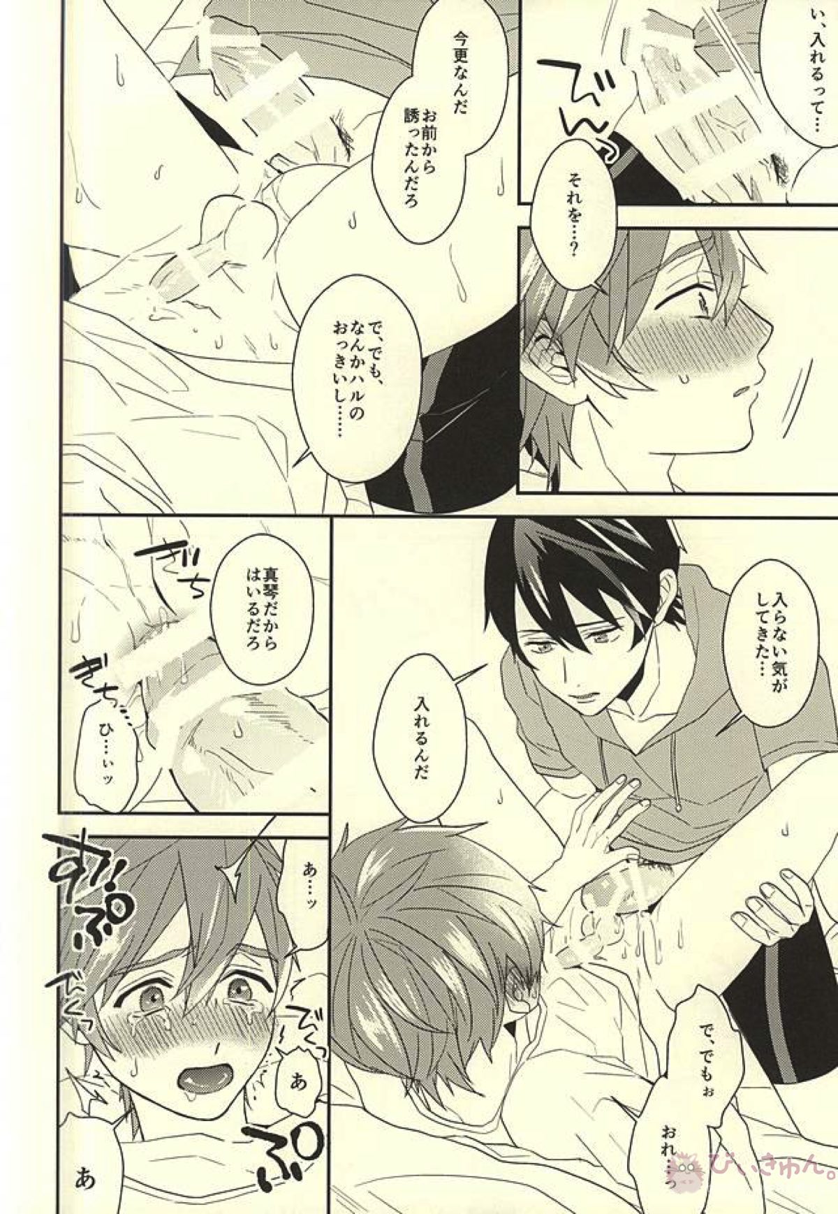 真琴くんのおねがい【Free!/遙真】 page 16