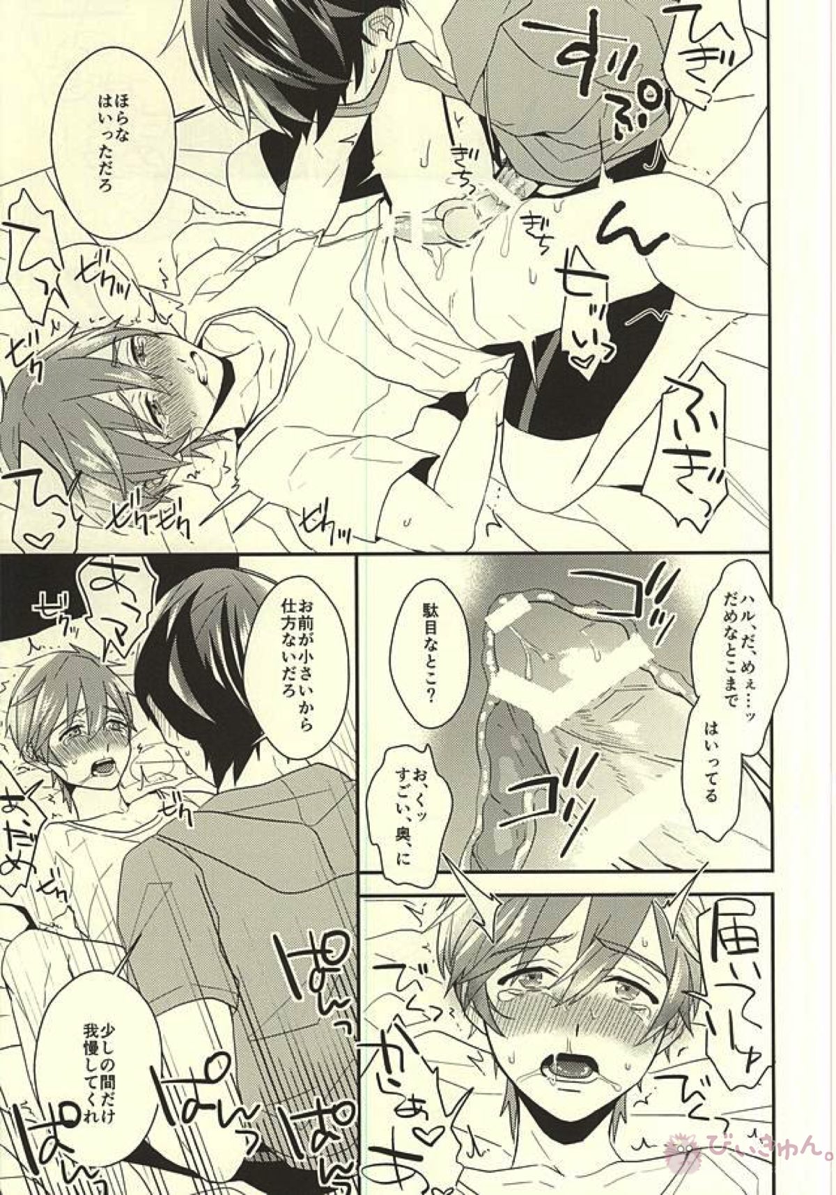 真琴くんのおねがい【Free!/遙真】 page 17