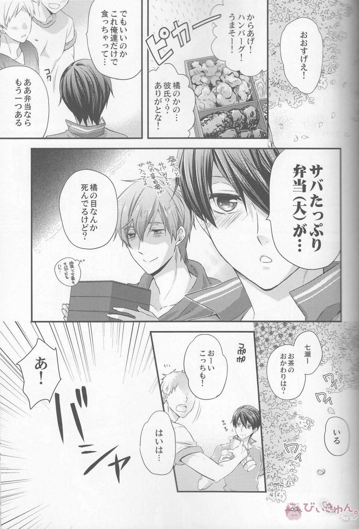 はじめまして嫁です。【Free!/まこはる】 page 13