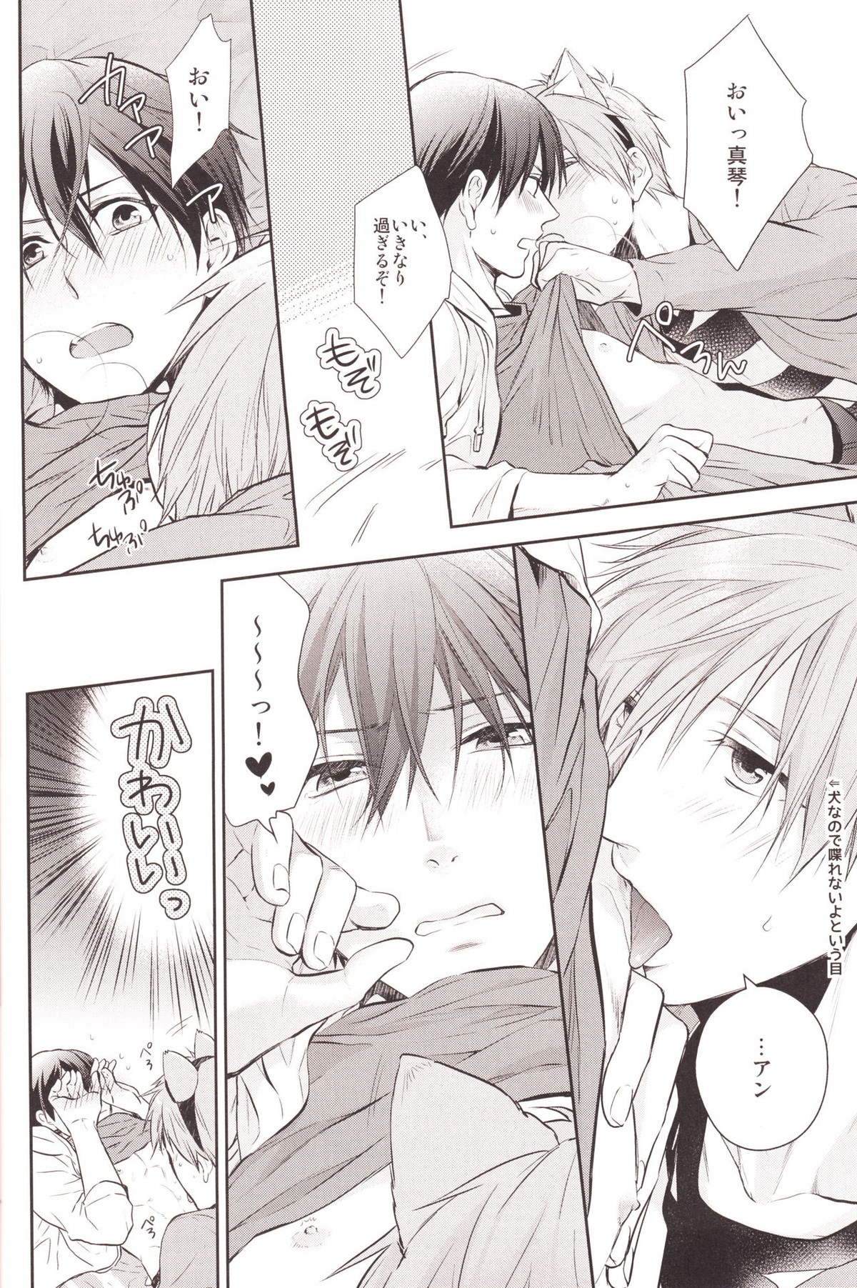ハルちゃんのわんこ【Free!/まこはる】 page 17