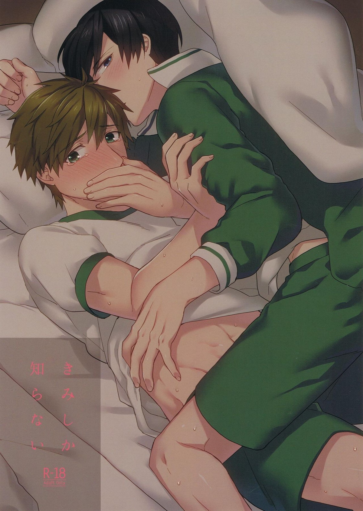 Recommended BL manga "きみしか知らない【Free!/遙真】" cover image