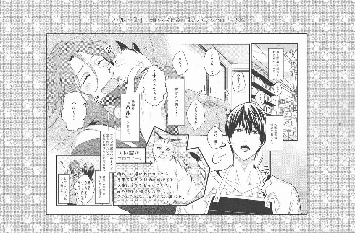 君は知らない【Free!/遙凛】 page 25