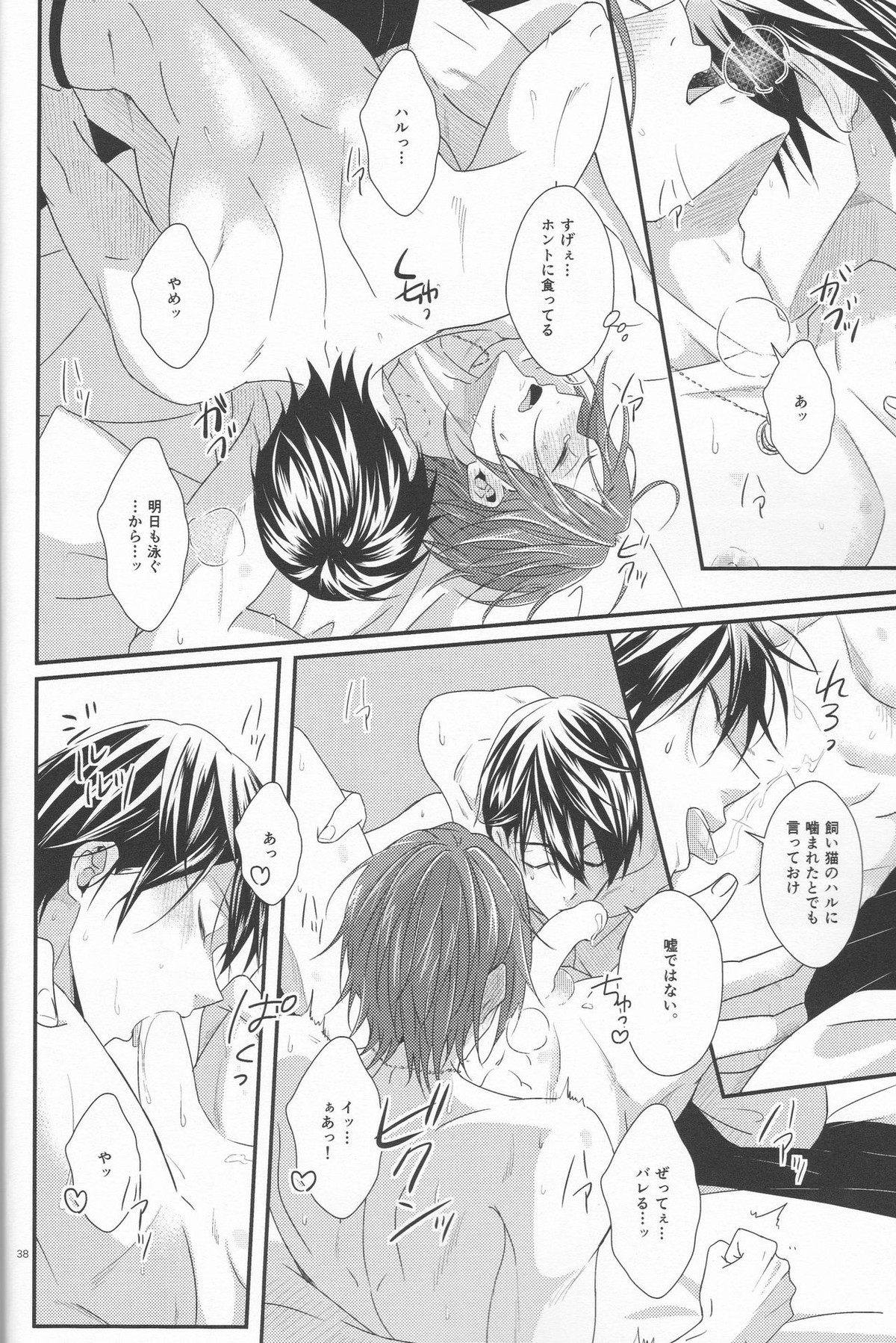 君は知らない【Free!/遙凛】 page 37
