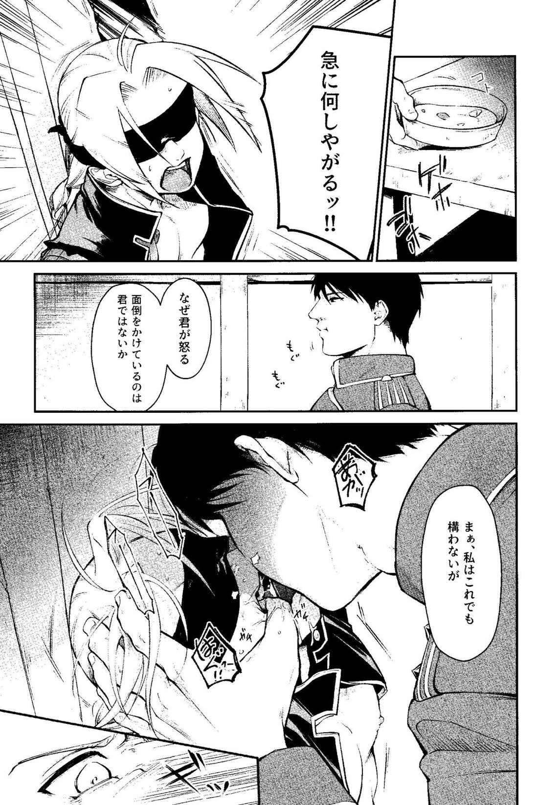 狂蝕【鋼の錬金術師/ロイエド】 page 14