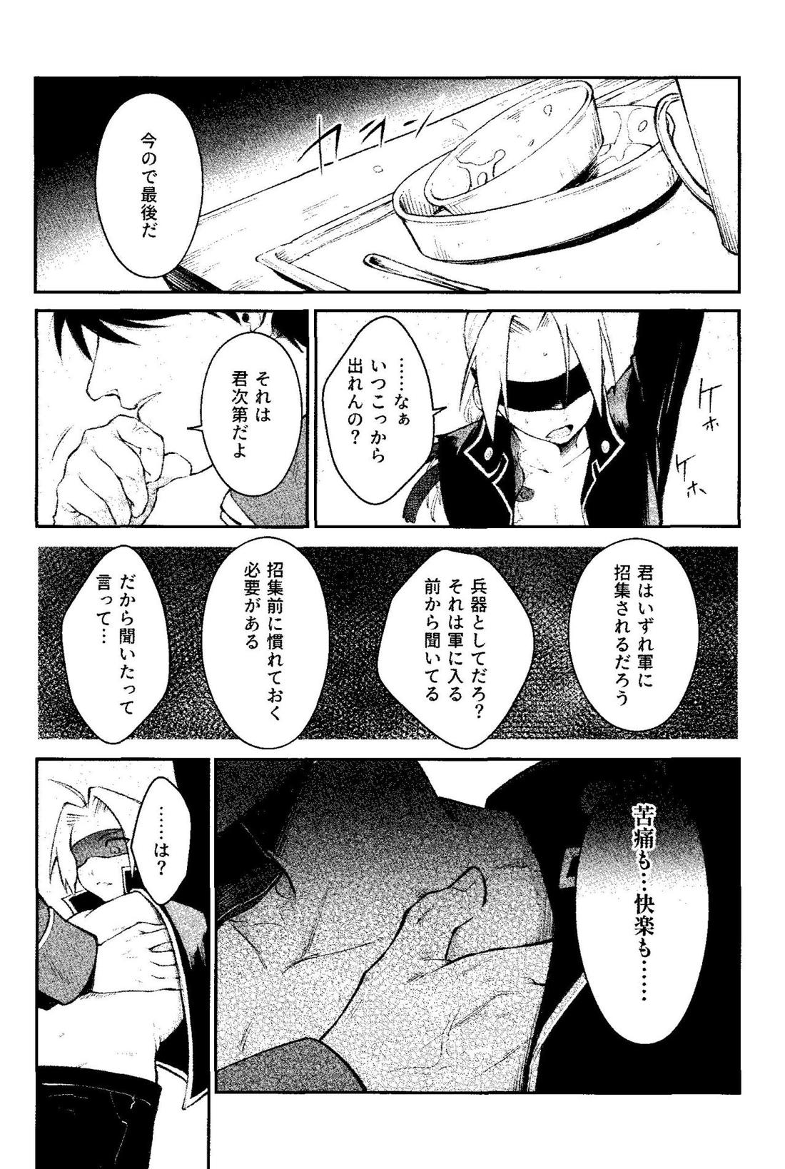 狂蝕【鋼の錬金術師/ロイエド】 page 18