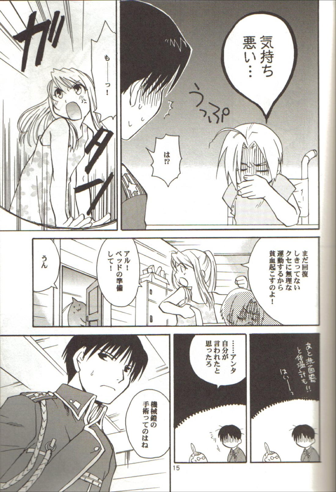 零のカケラ【鋼の錬金術師/ロイエド】 page 14