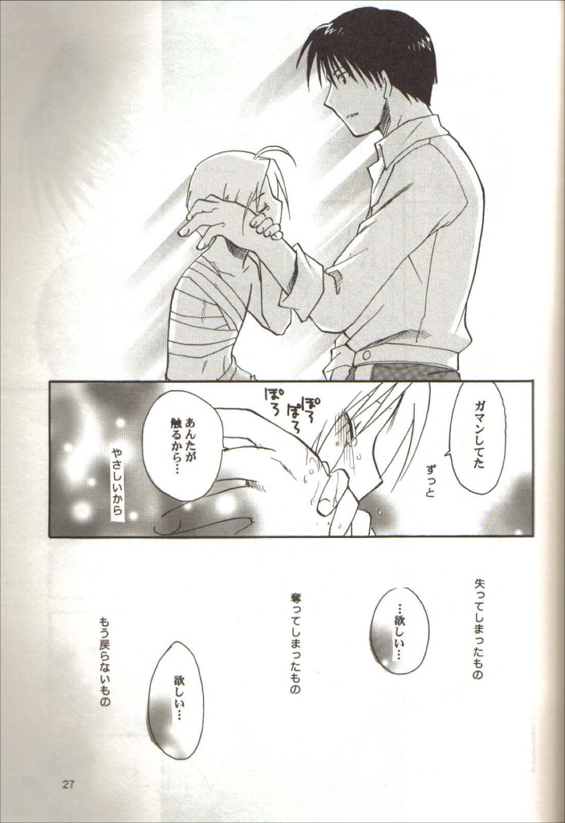 零のカケラ【鋼の錬金術師/ロイエド】 page 25