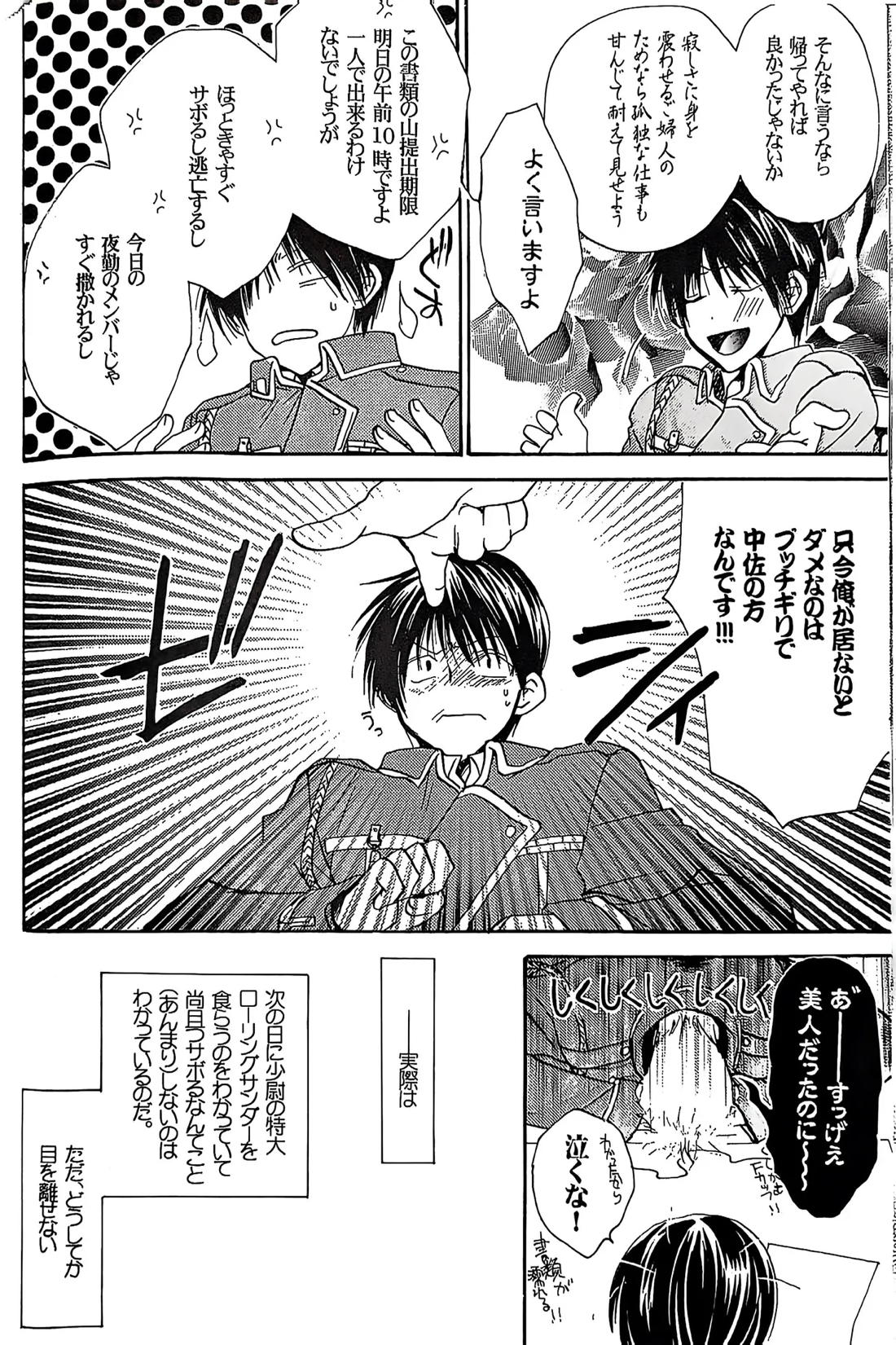 メシュウド【鋼の錬金術師/ハボロイ】 page 13