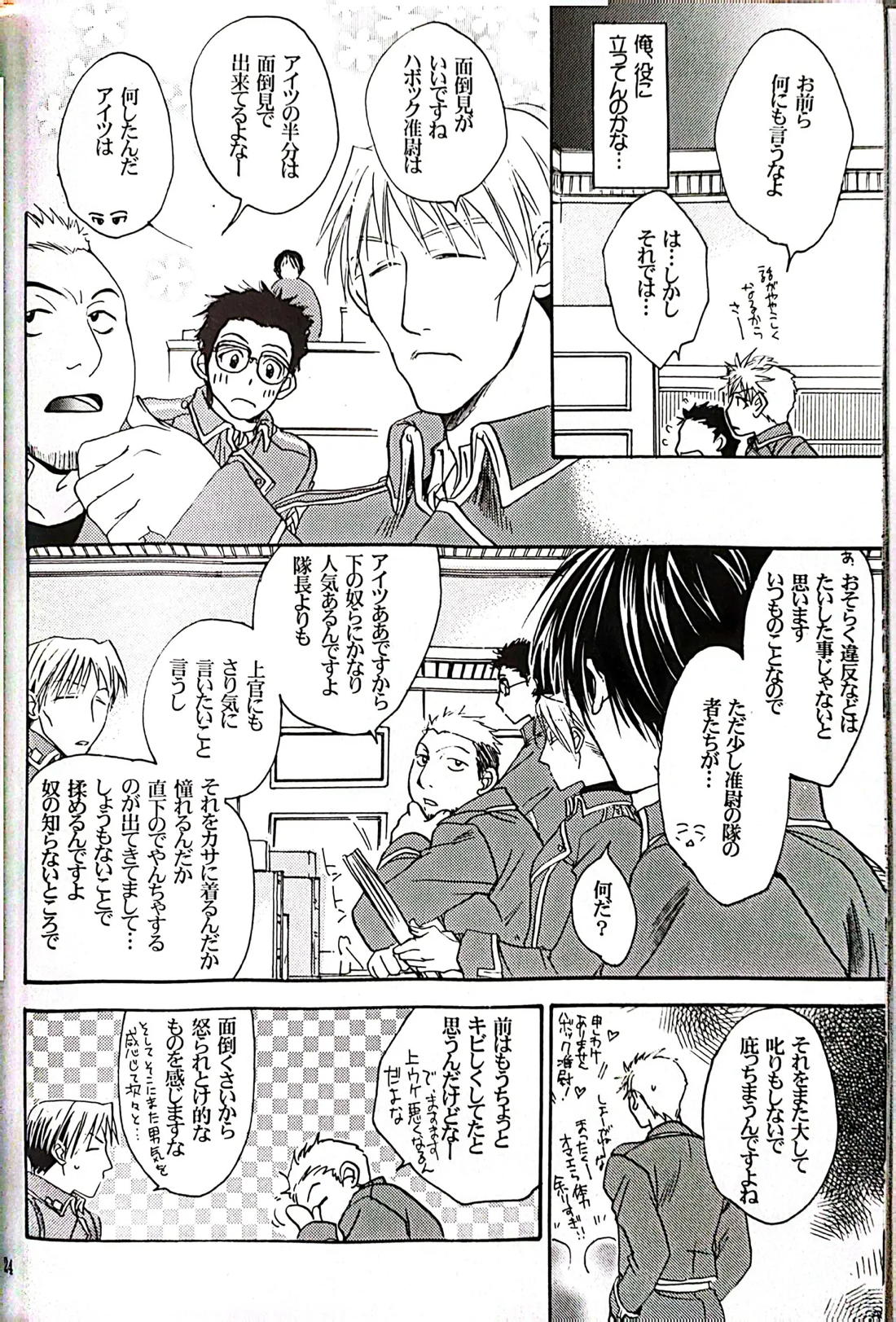 メシュウド【鋼の錬金術師/ハボロイ】 page 23
